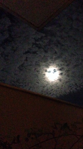 20140910-10.jpg