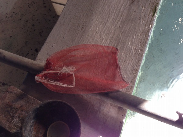 20141003-hs09.jpg
