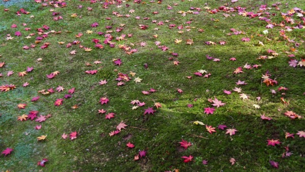 20141016-mj01.jpg