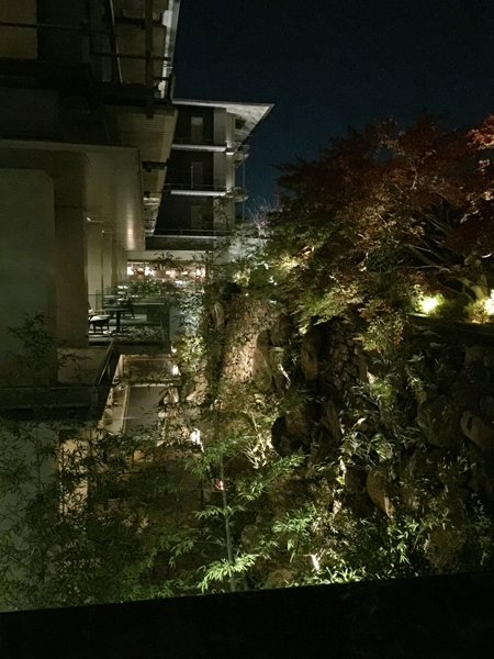 20141123-niwa.jpg