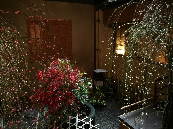 20141229-2_01.jpg
