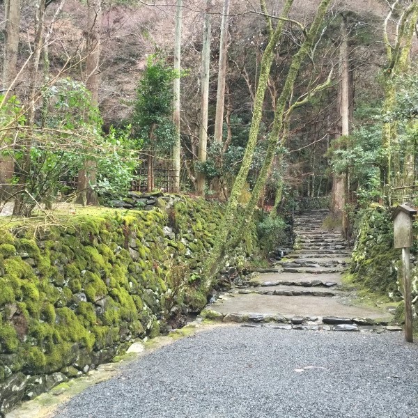 20150117-u05.jpg