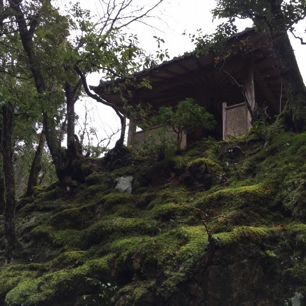 20150117-u06.jpg