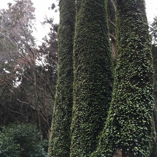 20150117-u07.jpg