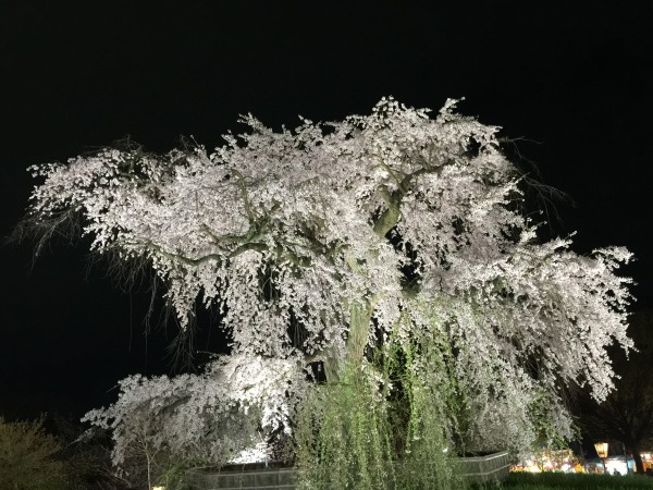 20150403-150404_2.jpg