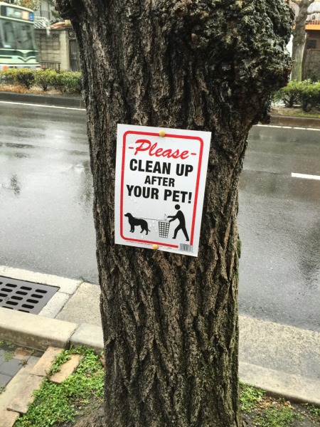 20150505-1.jpg