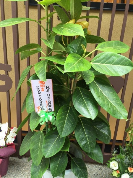 20150718-03.jpg