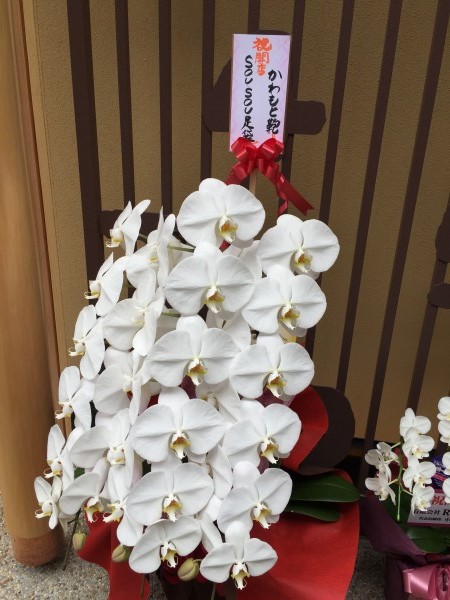 20150718-05.jpg