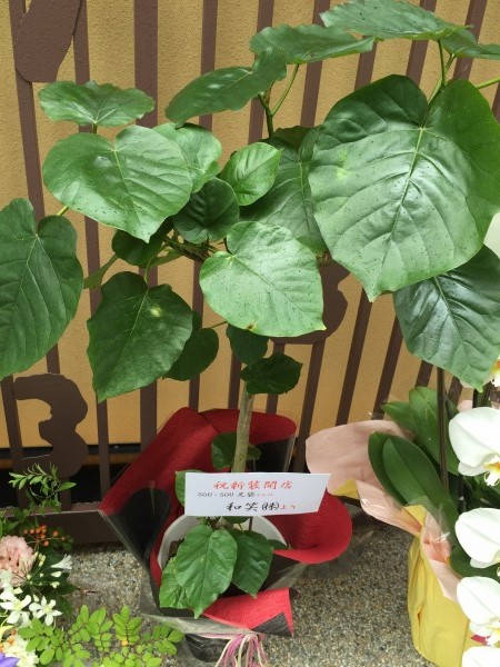 20150718-07.jpg