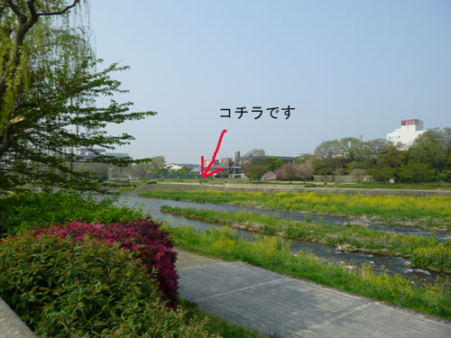 20120424-001.jpg