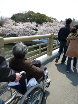 20120424-002.jpg