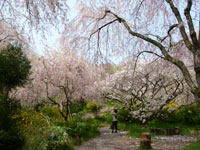 20120424-005.jpg