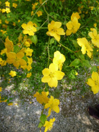 20120424-006.jpg