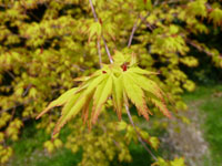 20120424-007.jpg
