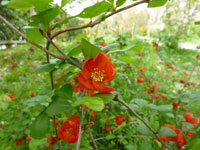 20120424-011.jpg