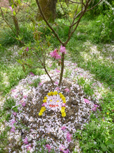 20120424-013.jpg