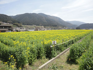 20120430-kurosawa3.jpg