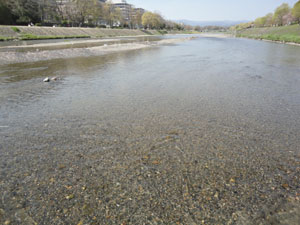 20120430-kurosawa5.jpg