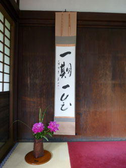 20120602-ichigo.jpg