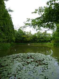 20120602-ike.jpg