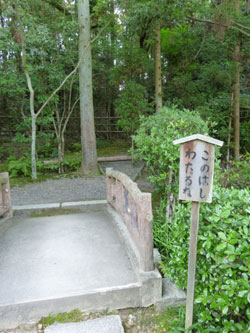 20120602-konohashi.jpg