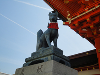 20120604-狐.jpg