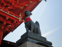 20120604-狐2.jpg