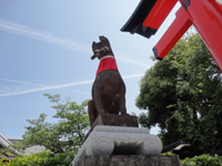 20120604-狐3.jpg