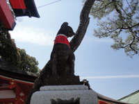 20120604-狐4.jpg
