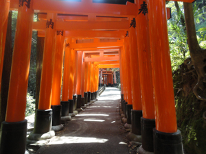 20120604-鳥居4.jpg