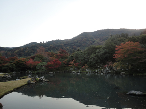 20121108-nikki11102.jpg