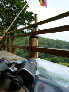 20130901-donnakesikigamierukana.jpg
