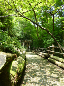 20130901-ikumadega.jpg