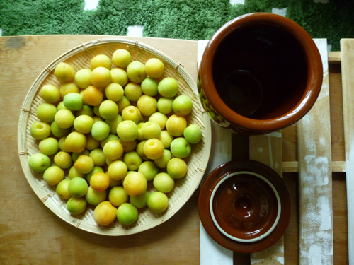 20140615-ume.jpg