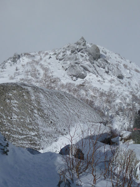 20150127-yakushi.jpg