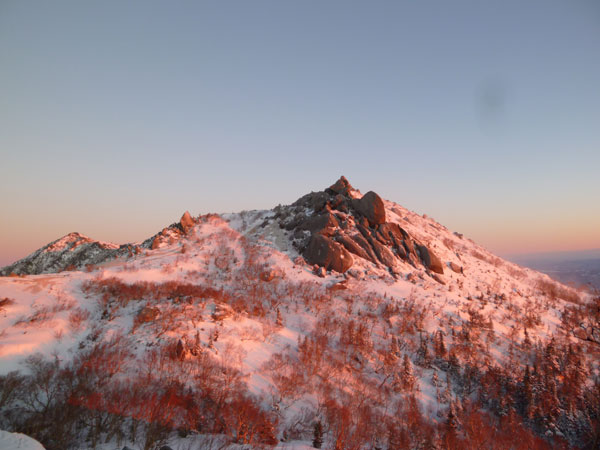 20150127-yakushiasa.jpg