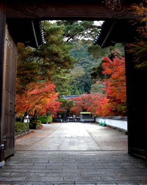 20101205-eikando.jpg