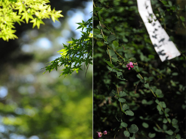 20110924-110925.jpg