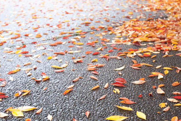 20131113-seiho07.jpg