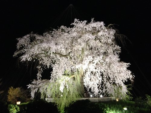 20140417-IMG_1199.jpg