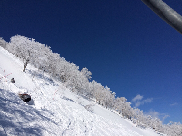 20150203-IMG_0734.JPG