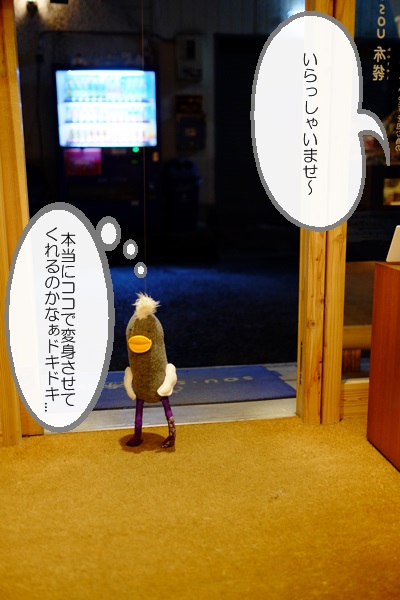 20150224-10.jpg