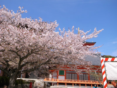 20110417-桜＆建物.jpg