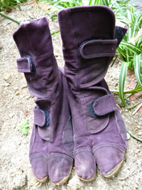 20110527-kore.jpg