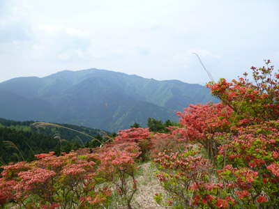 20110527-oyama.jpg