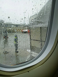 20120311-ame.jpg