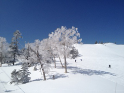 20120315-P1000086s.jpg