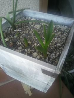 20120315-P1000089s.jpg