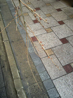 20120315-P1000093s.jpg