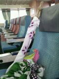 20120315-ryuuboku.jpg
